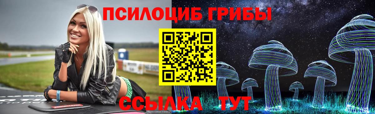 Советск  где продают наркотики  Псилоцибиновые грибы ЛСД  Вход с VPN  Галлюциногенные грибы ЛСД 